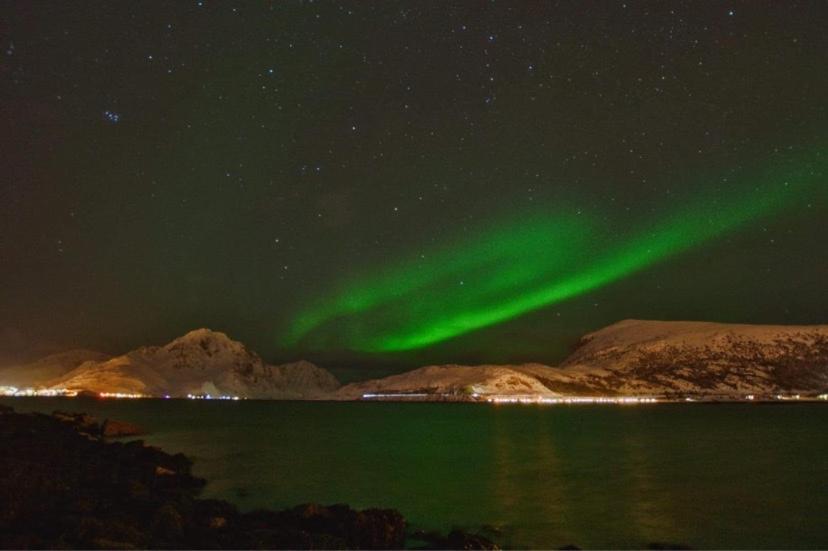 Rorbu I Lofoten ليكنيز المظهر الخارجي الصورة