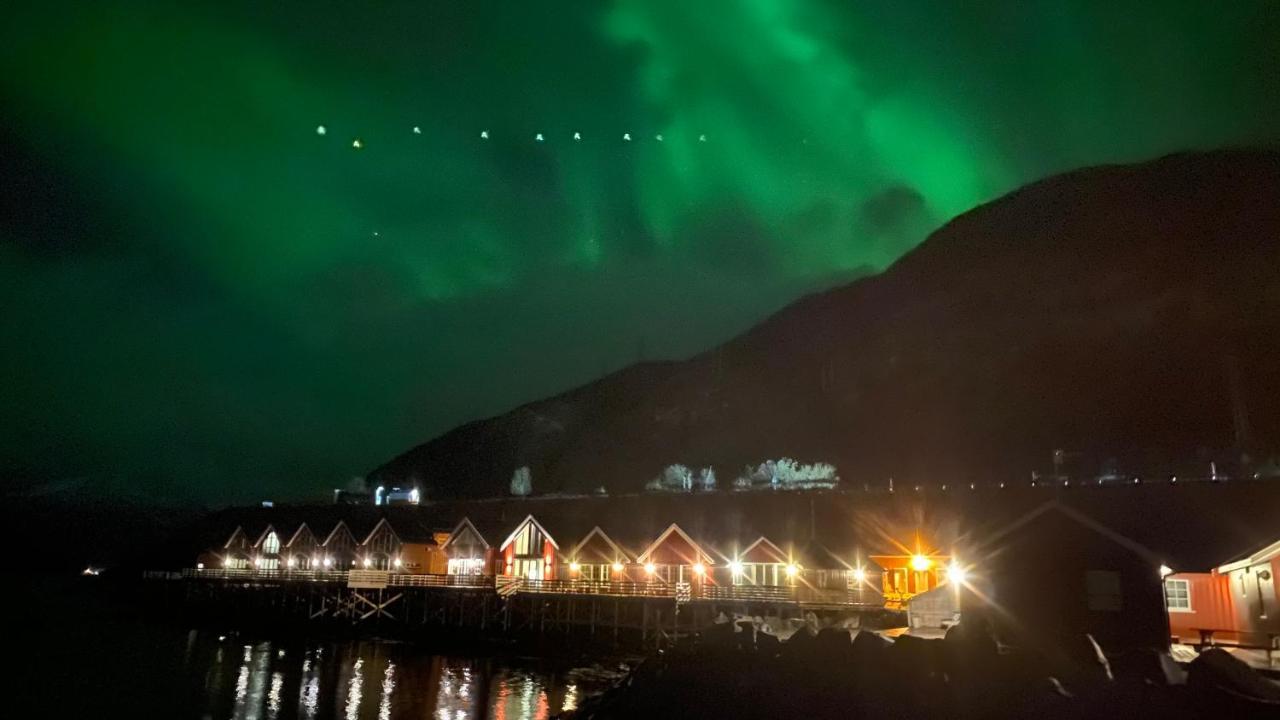 Rorbu I Lofoten ليكنيز المظهر الخارجي الصورة