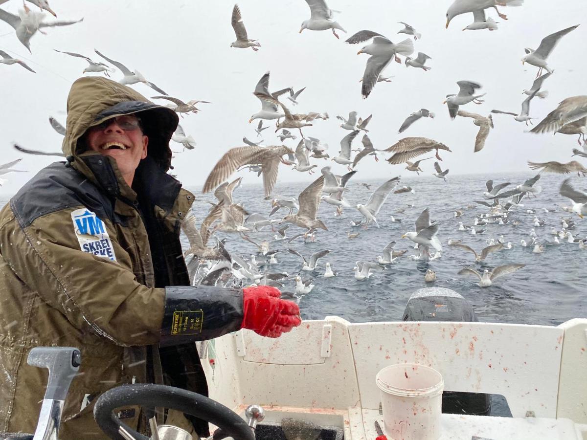 Rorbu I Lofoten ليكنيز المظهر الخارجي الصورة