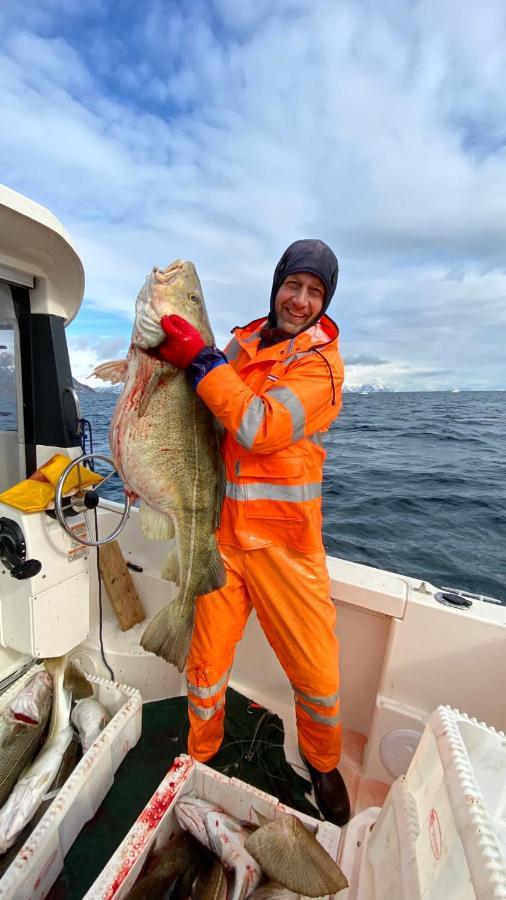 Rorbu I Lofoten ليكنيز المظهر الخارجي الصورة